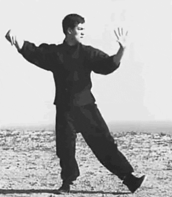 李小龙太极拳